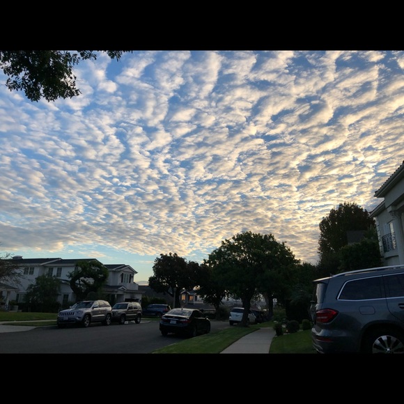 Meet your Posher, Taylor - Picture 1 of 1